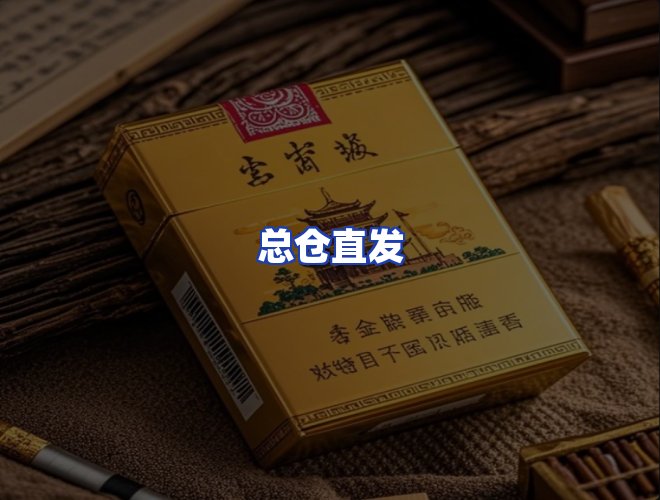 专业团队